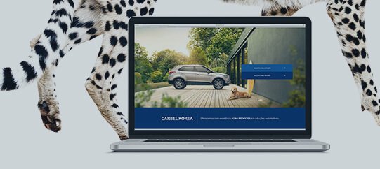 alpes-Leopardo-landing-pages-background